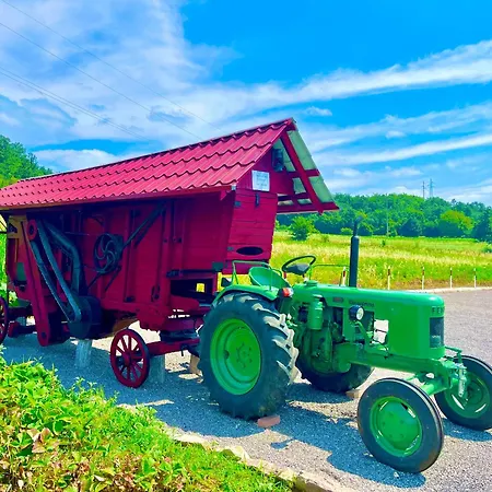 Etno Selo Stanojevic 4*