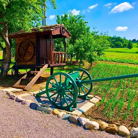 게스트하우스 Etno Selo Stanojevic 4*